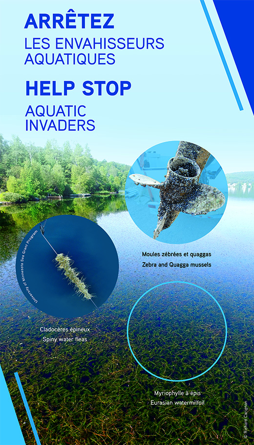 Help stop aquatic species