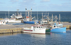 Fishing harbour typical of Quebec's maritime areas.