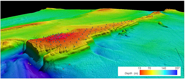 2012 three-dimensional representation of the ridge (middle section) of the American Bank and sampling stations using benthic imaging