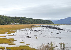 Fondation de la faune du Québec: Plan for the restoration of coastal habitats in Charlevoix, primarily the intertidal marshes, river estuaries and breeding habitats for forage species such as smelt and capelin. Photo: Marsh in Charlevoix 