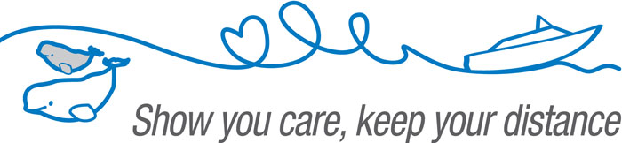 Logo: Show you care, keep your distance
  