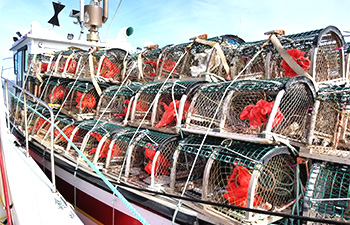 Bateau montrant un débarquement de homards