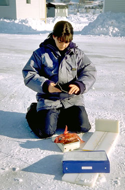 Gathering data on the ice