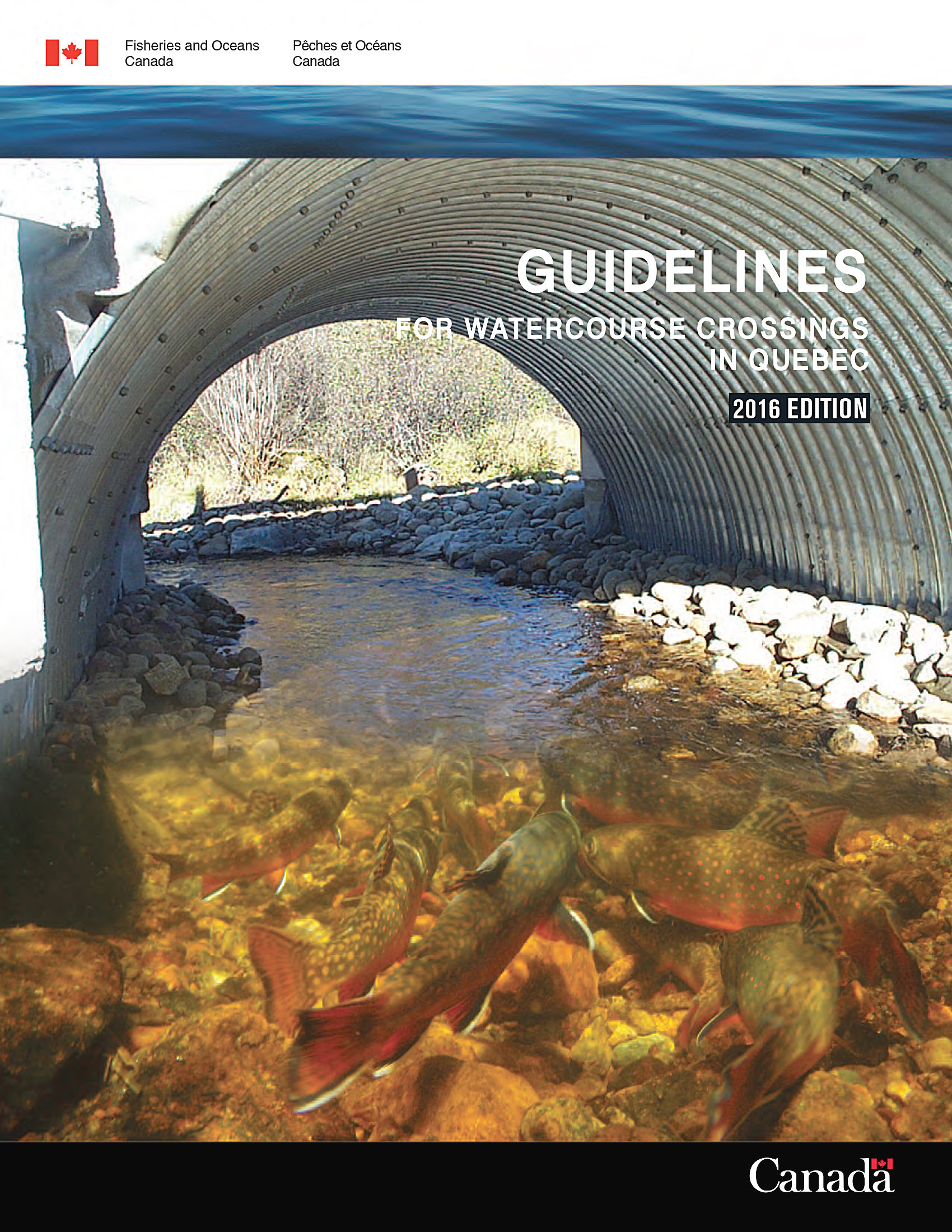 Guidelines for Watercourse Crossings in Quebec