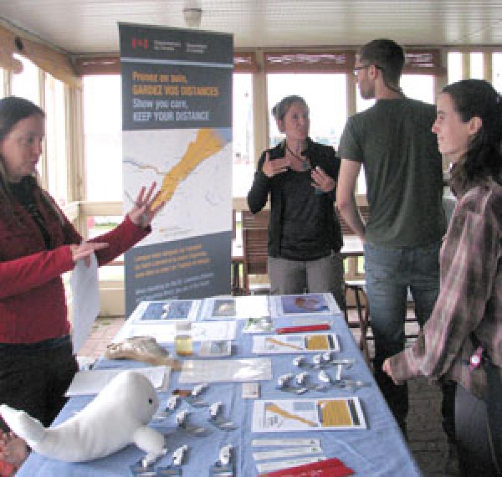 Information kiosk about navigation around belugas