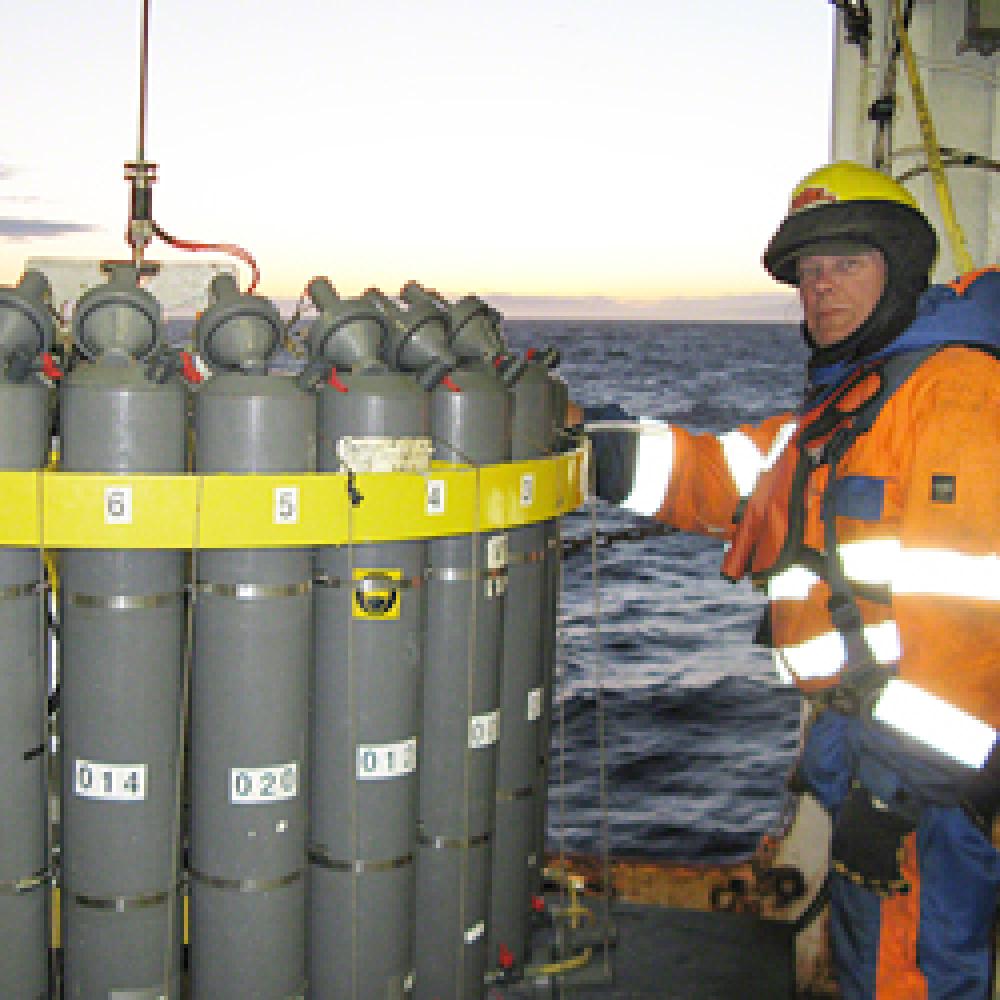 A temperature and salinity probe is installed on a rosette  to collect data, from the surface  to the sea floor.