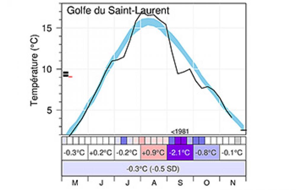 Moyennes mensuelles de mai à novembre de la température de surface pour le golfe. 