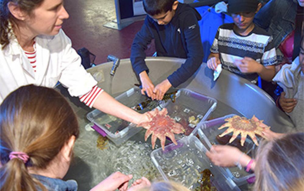 A scientist introduces young visitors to starfish.