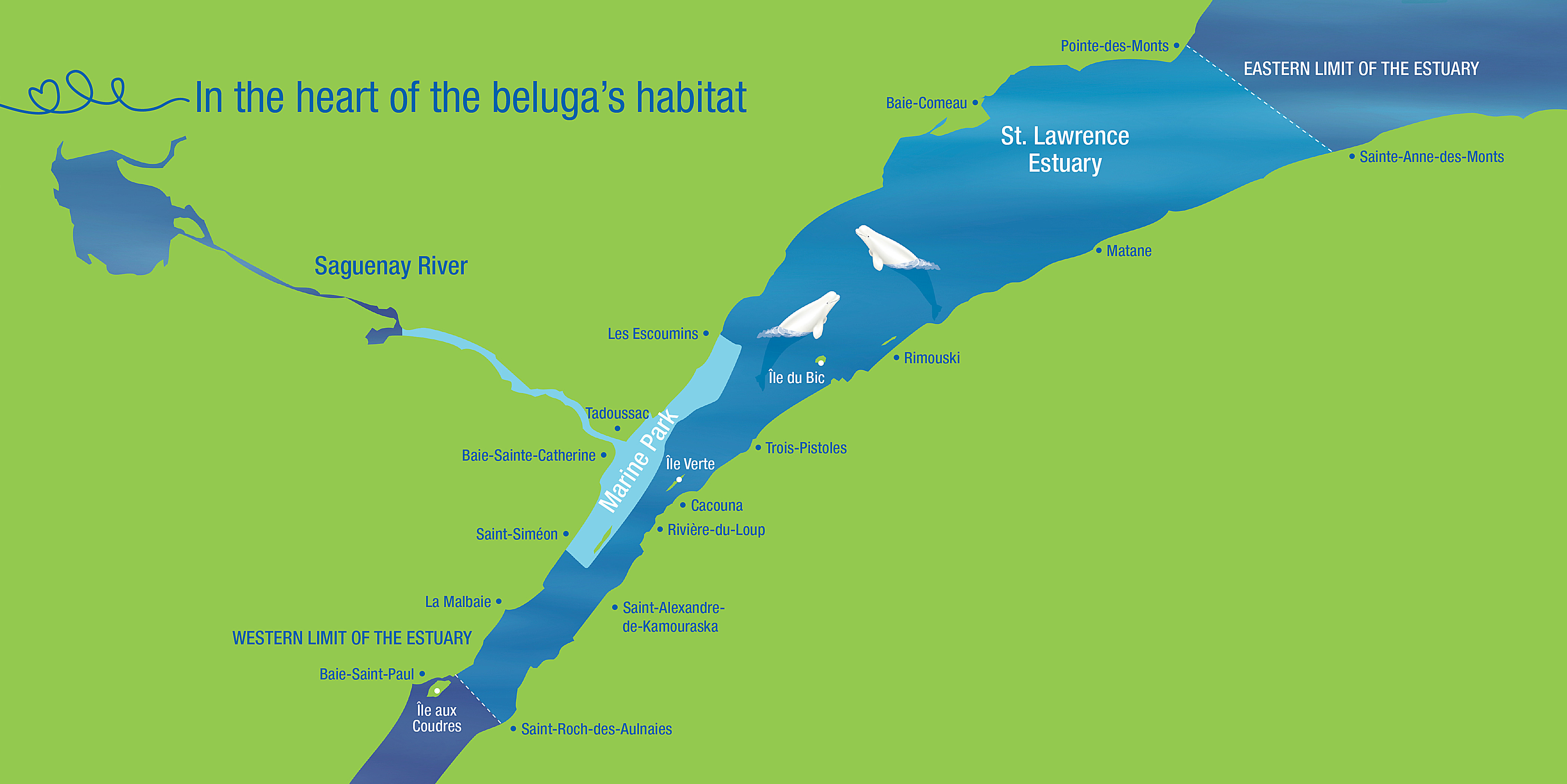 Map of the limits of the St. Lawrence Estuary. Eastern tip of Isle-aux-Coudres and Saint-Roch-des-Aulnaies upstream; Pointe-des-Monts and Sainte-Anne-des-Monts downstream.